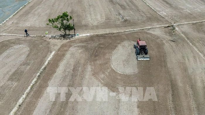 Người dân xã biên giới Ninh Điền, tỉnh Tây Ninh ứng dụng cơ giới hóa vào sản xuất nông nghiệp, góp phần nâng cao năng suất, hiệu quả lao động. Ảnh: Giang Phương - TTXVN