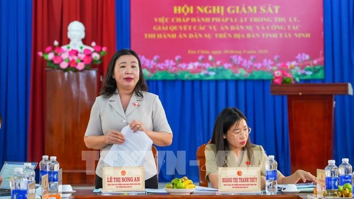 Đại biểu Lê Thị Song An, Phó Trưởng đoàn Chuyên trách, Đoàn Đại biểu Quốc hội Đơn vị tỉnh Tây Ninh, Phó Trưởng đoàn giám sát, phát biểu kết luận. Ảnh: Minh Phú – TTXVN