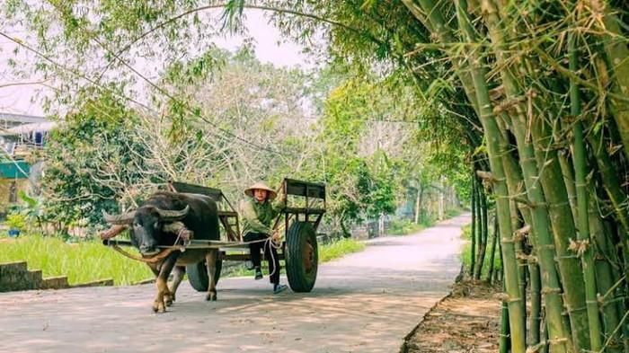 Ảnh: báo Dân Việt