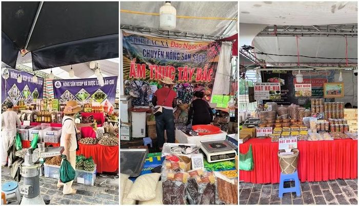 Nhiều hội chợ nông sản bình dân được tổ chức với không gian rộng lớn để người tiêu dùng tiếp cận sản phẩm vùng miền