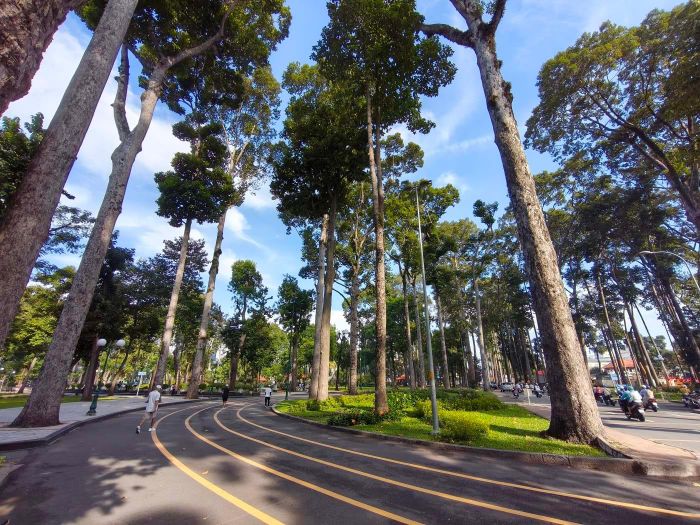 Giá trị của công viên không chỉ nằm ở diện tích đất hay số lượng cây xanh, mà còn nằm ở cấu trúc không gian, địa hình, mặt nước, hệ thực vật lâu năm, các trục nhìn, đường dạo, công trình cảnh quan... Ảnh: Trà My
