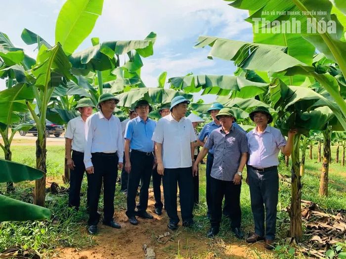 Đoàn giám sát thăm mô hình ứng dụng công nghệ cao trên địa bàn xã Tượng Lĩnh.
