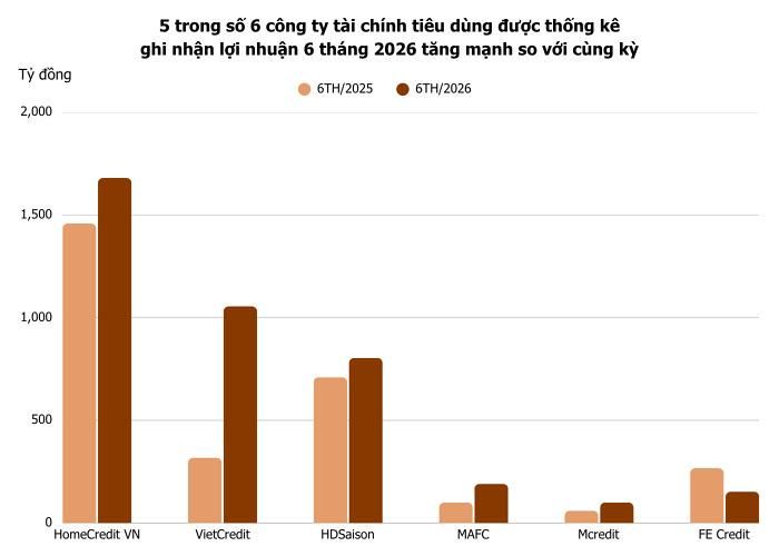 Ảnh: T.D tổng hợp từ BCTC
