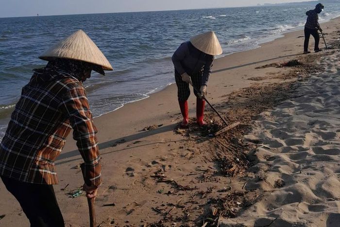 Từng cành cây, túi rác và mảnh rác nhỏ lẫn trong cát được người dân thu gom. Ảnh: UBND xã Hoằng Tiến