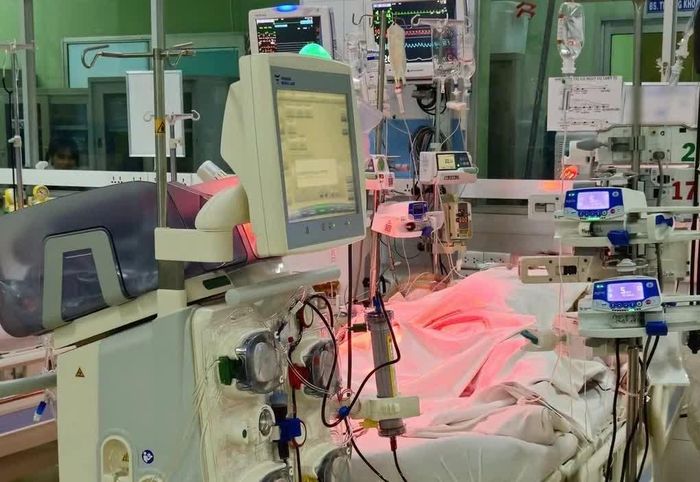 Với sốt xuất huyết, khi bệnh chuyển nặng, chi phí điều trị có thể lên đến hàng trăm triệu, thậm chí hàng tỷ đồng. Ảnh: Bệnh viện Bệnh Nhiệt đới TP.HCM