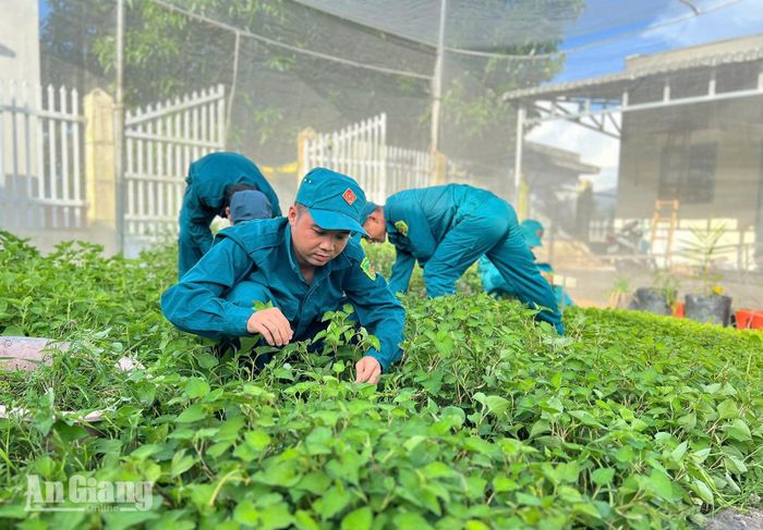 Cán bộ, chiến sĩ Ban Chỉ huy Quân sự xã Tân Hội chăm sóc vườn rau. Ảnh: MI NI