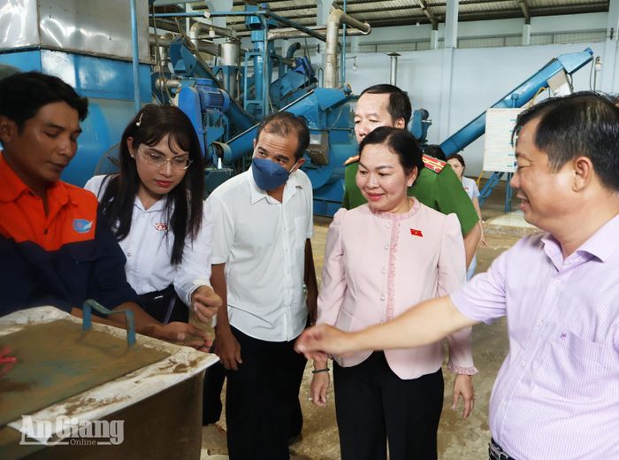 Đại biểu khảo sát môi trường tại Nhà máy sản xuất bột cá Công ty TNHH Bột cá Kiên Hùng Việt Nam, xã Bình An.
