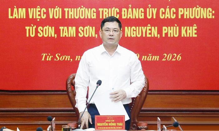 Đồng chí Nguyễn Hồng Thái phát biểu kết luận buổi làm việc.