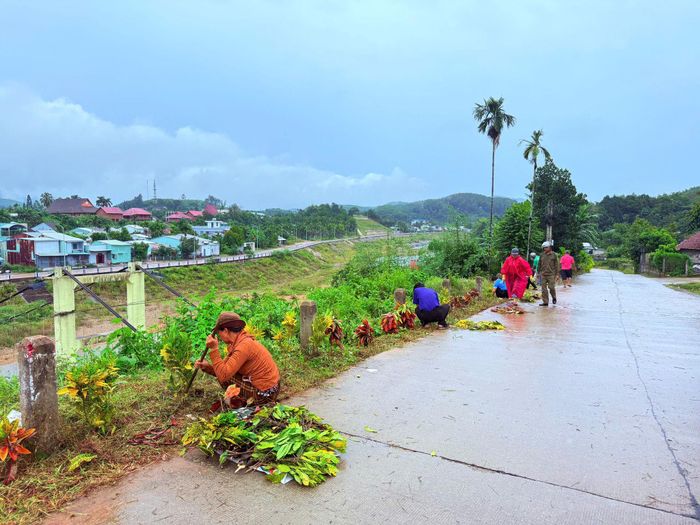 Người dân thôn Dương Hòa chung tay trồng cây, góp sức xây dựng tuyến đường “xanh - sạch - đẹp - an toàn”. Ảnh do nhân vật cung cấp