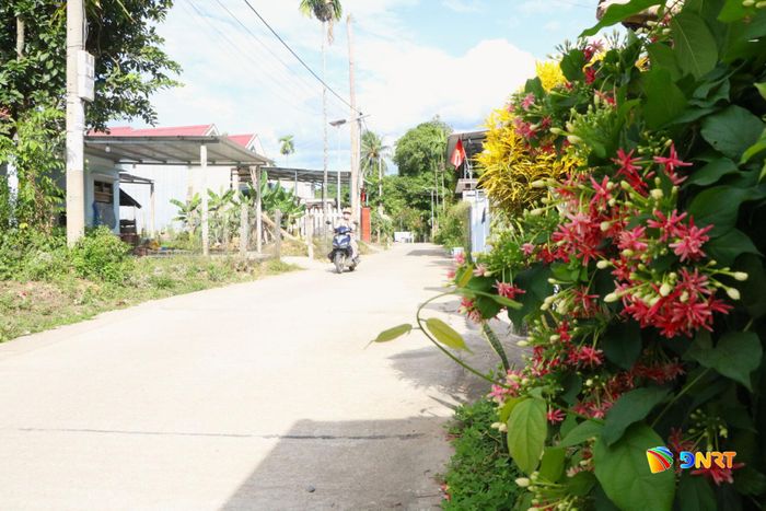 Tuyến đường tại thôn điểm của mô hình được chỉnh trang, trồng cây, vệ sinh sạch sẽ. Ảnh: THÚY HIỀN