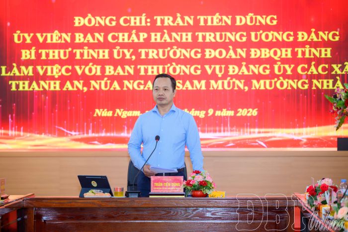 Bí thư Tỉnh ủy Trần Tiến Dũng phát biểu kết luận buổi làm việc.