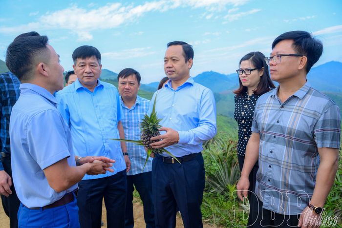 Bí thư Tỉnh ủy Trần Tiến Dũng cùng các đồng chí trong đoàn công tác thăm mô hình trồng dứa tại bản Pu Lau, xã Mường Nhà.