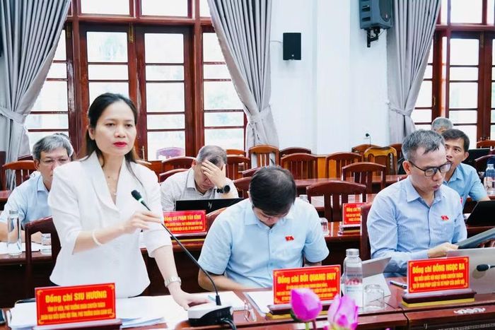 Phó Trưởng đoàn chuyên trách Đoàn ĐBQH tỉnh Siu Hương phát biểu tại buổi làm việc. Ảnh: N.H 