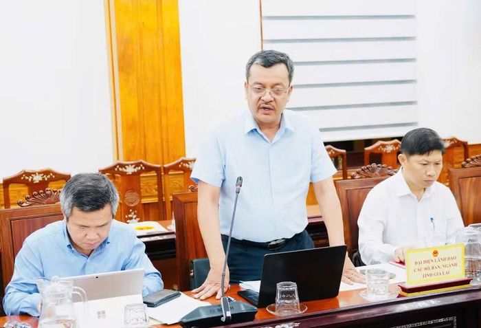Ông Ngô Tùng Sơn - Giám đốc Trung tâm Phát triển quỹ đất tỉnh báo cáo phương án xử lý tài sản công của tỉnh. Ảnh: N.H