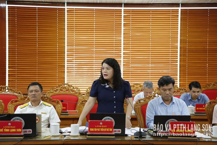 Lãnh đạo Trung tâm Phát triển quỹ đất tỉnh phát biểu tại cuộc họp