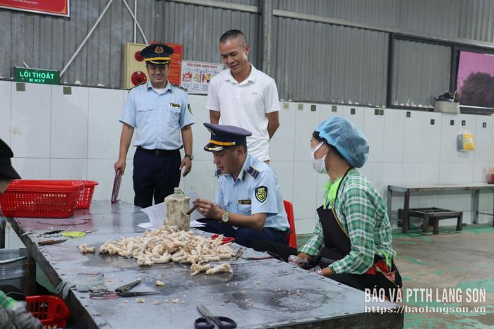Thành viên đoàn kiểm tra đối chiếu danh sách nhân sự thực tế với hồ sơ tập huấn kiến thức an toàn thực phẩm