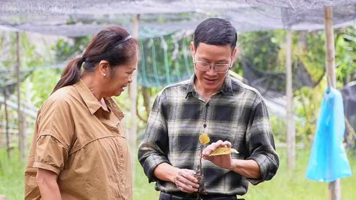 Chuyên gia đến tham quan mô hình và hướng dẫn kỹ thuật tại hợp tác xã.