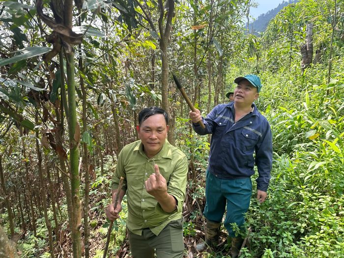 Người dân tích cực phòng trừ sâu hại.