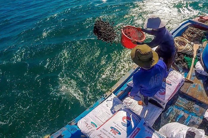 Nuôi biển tại xã Tân Thành