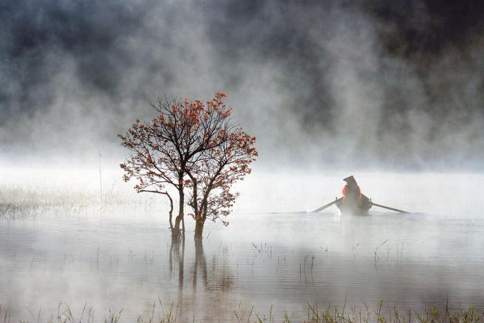 Sương mai hồ Tuyền Lâm. Ảnh: Võ Trang