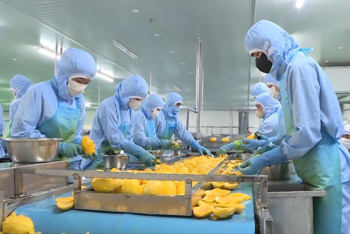 Lâm Đồng đẩy mạnh chế biến sâu lĩnh vực nông sản phục vụ xuất khẩu (Ảnh tư liệu)