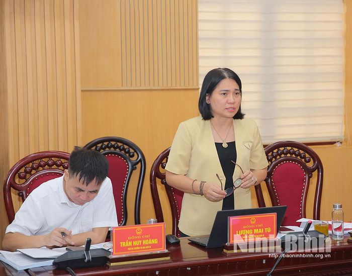 Đồng chí Lương Mai Tú, Phó Vụ trưởng Vụ Địa bàn 3 phát biểu tại hội nghị.