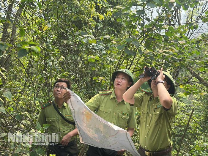Tăng cường công tác tuần tra, kiểm soát và bảo vệ sinh cảnh sống của quần thể Voọc mông trắng. Ảnh: Nguyễn Lựu