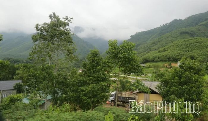 Cuộc sống của đồng bào người Mông ở thôn Mỹ Á đang ngày càng khởi sắc.