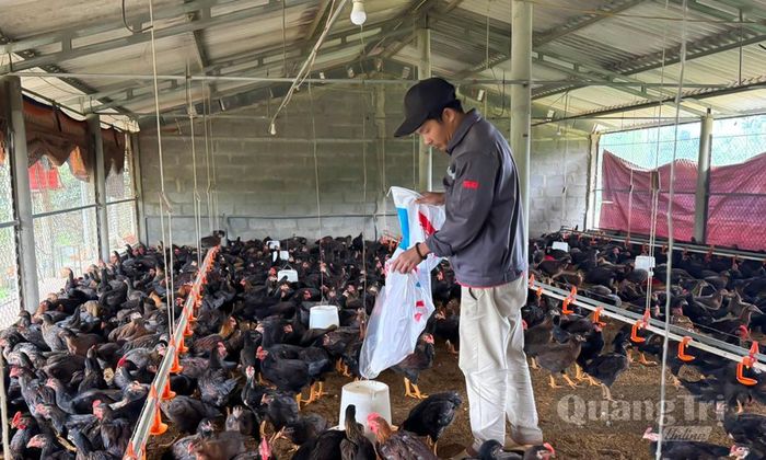 Các trang trại ở xã Trường Phú đều có quy mô nhỏ, nguồn lực đầu tư còn hạn chế - Ảnh: N.H