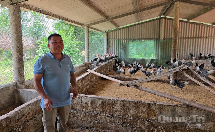 Anh Nguyễn Đăng Vương tại khu vực chăn nuôi gà trong trang trại của mình - Ảnh: L.A