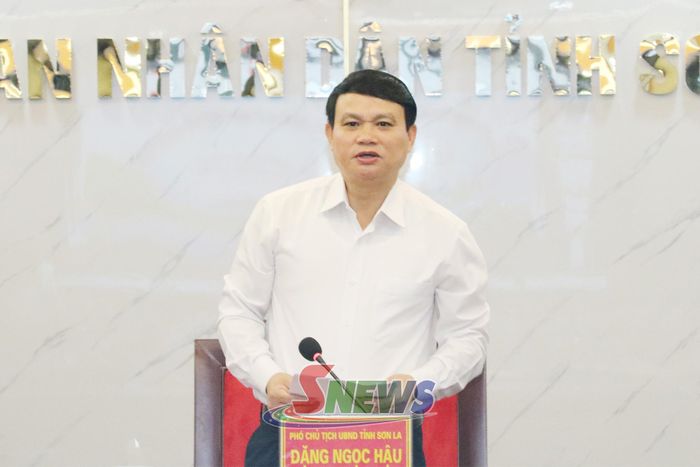Phó Chủ tịch UBND tỉnh Đặng Ngọc Hậu phát biểu kết luận cuộc làm việc.
