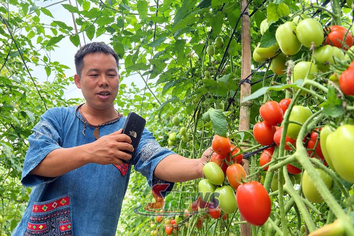 Anh Vừ Pát Ly quảng bá nông sản trên mạng xã hội.