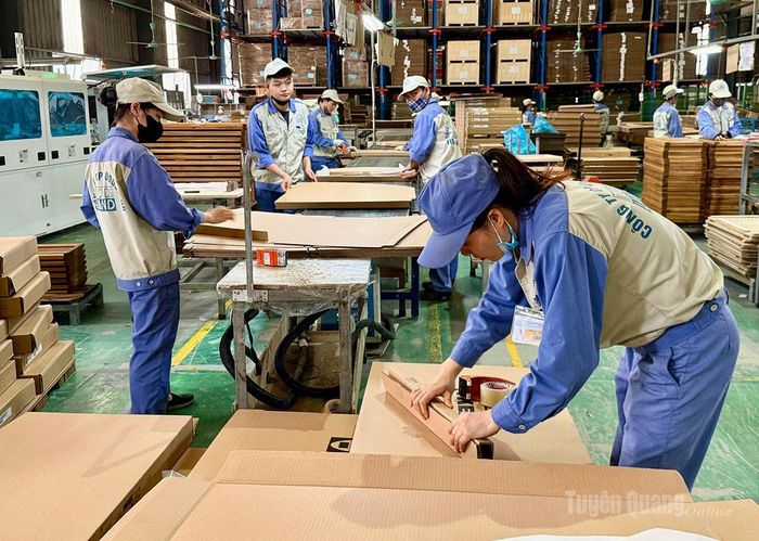 Những sáng kiến kinh nghiệm của đoàn viên, người lao động được áp dụng vào sản xuất tại Công ty cổ phần Woodsland.