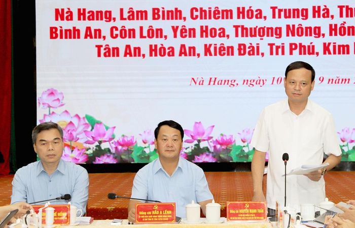 Phó Chủ tịch Thường trực UBND tỉnh Nguyễn Mạnh Tuấn phát biểu tại buổi làm việc.