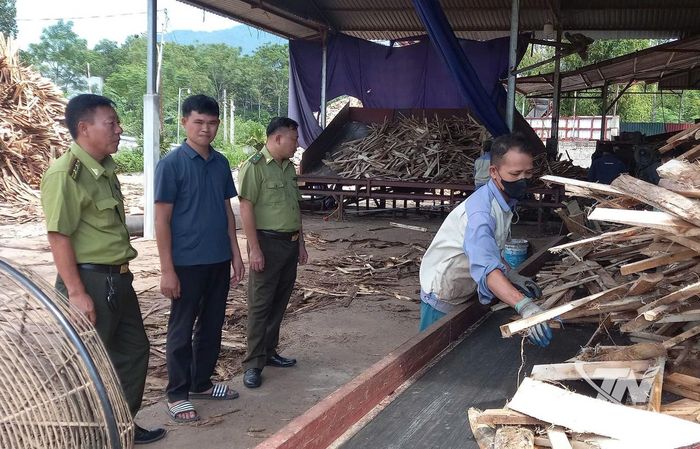Hạt kiểm lâm số 12 kiểm tra cơ sở chế lâm sản.