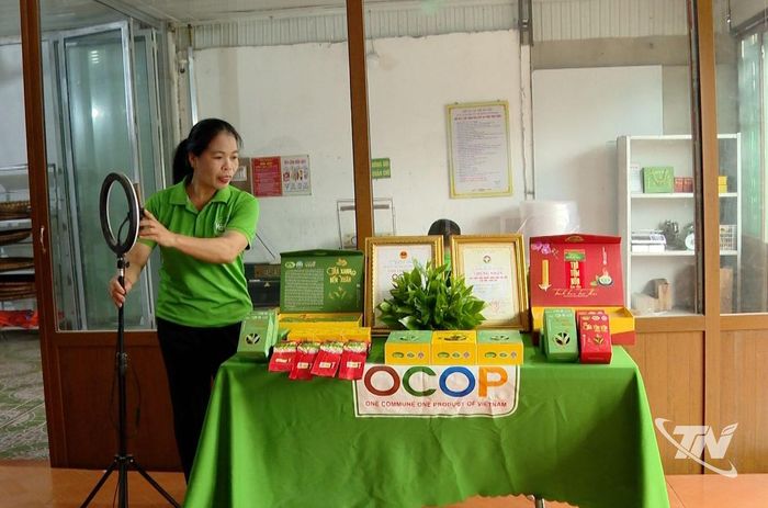 Thành viên của Hợp tác xã Chè Hải Yến chuẩn bị không gian livestream bán hàng.