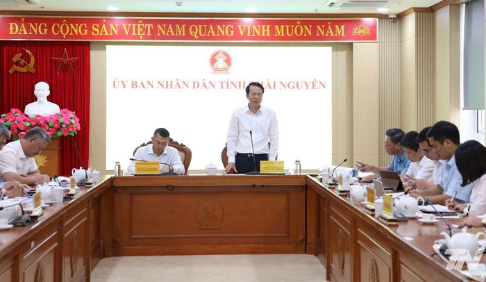 Các đại biểu dự cuộc họp.