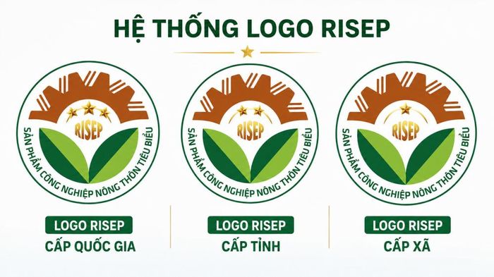 Logo bình chọn RISEP các cấp. (ảnh Hoàng Dương)