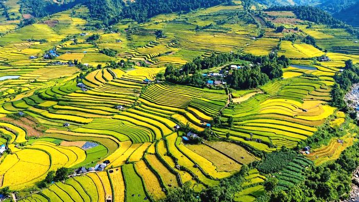 Mùa lúa chín ở Tả Lèng thường rơi vào cuối tháng 9, đầu tháng 10 Dương lịch. Đây cũng là thời điểm nhiều địa phương vùng cao Lai Châu bước vào mùa vàng, thu hút đông đảo du khách, nhiếp ảnh gia tìm đến để ghi lại vẻ đẹp đặc trưng của miền sơn cước.