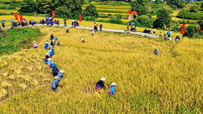 Chị Hà Thị Thảo, du khách đến từ Hải Phòng cho biết, điều khiến chị ấn tượng nhất là sự hài hòa giữa cảnh sắc và con người. “Mình thấy ruộng bậc thang Tả Lèng rất yên bình và hùng vĩ. Thời tiết ở đây mát mẻ, con người thân thiện, hòa đồng. Mình rất yêu quý nơi này. Vào mùa lúa chín, năm nào mình cũng rủ bạn bè lên đây chụp ảnh và tận hưởng vẻ đẹp của cánh đồng”, chị Thảo nói.