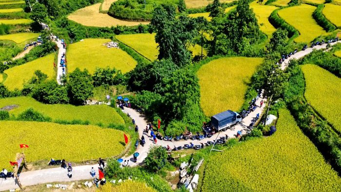 Lần thứ hai trở lại Tả Lèng đúng dịp mùa lúa chín, anh Nguyễn Xuân Thủy, du khách đến từ Hà Nội, dành trọn một ngày để khám phá thung lũng.“Mỗi lần đến đây, tôi đều dành thời gian đi ngắm và chụp ảnh. Mùa lúa chín Tả Lèng thực sự rất đẹp. Đứng từ trên cao nhìn xuống, cả thung lũng như một bức tranh vàng giữa núi rừng Tây Bắc”, anh Thủy chia sẻ.
