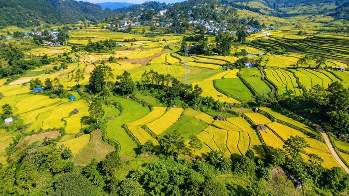 Giữa mùa vàng, Tả Lèng, tỉnh Lai Châu vì thế không chỉ đẹp bởi những thửa ruộng bậc thang uốn lượn theo sườn núi. Vẻ đẹp ấy còn nằm trong nhịp sống bình dị của bản làng, trong nụ cười thân thiện của người dân và những giá trị văn hóa được gìn giữ qua nhiều thế hệ.