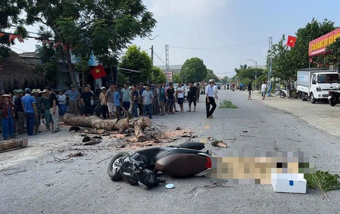Hiện trường xảy ra vụ việc khiến người đàn ông đi xe máy tử vong sau khi bị cây đổ đè trúng (Ảnh: NDCC).