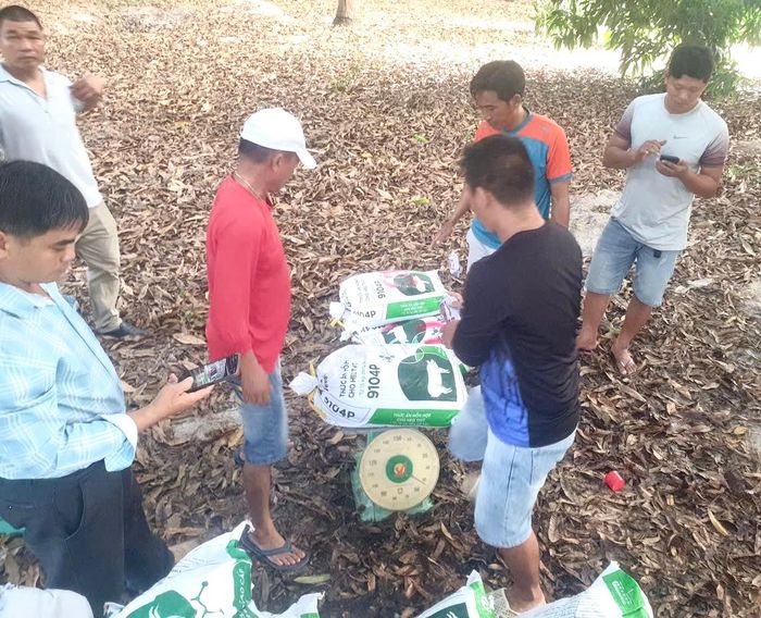 Chính quyền địa phương tiến hành cân khối lượng cát trắng tại hiện trường.