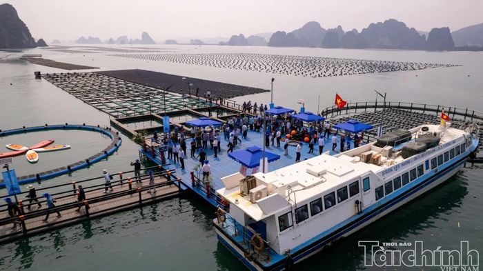 Quảng Ninh đang tiếp tục rà soát hiện trạng và nhu cầu đầu tư, sắp xếp các đối tượng sử dụng biển, tạo quỹ không gian phù hợp cho các dự án quy mô lớn. Ảnh Tiến Dũng