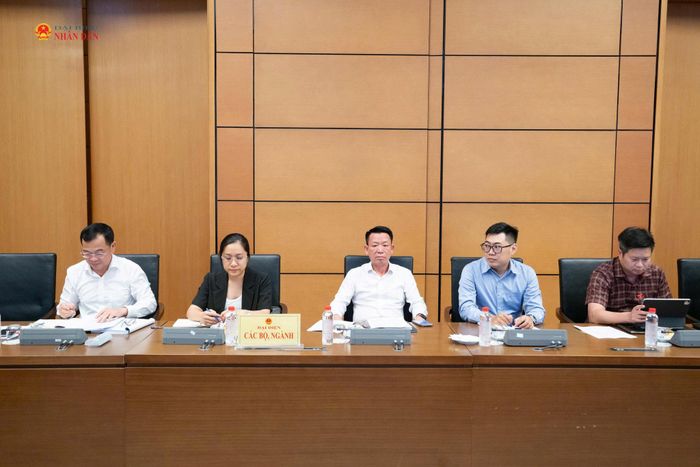 Các đại biểu dự phiên họp