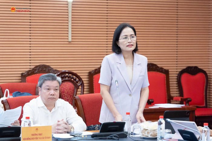 ĐBQH hoạt động chuyên trách tại Ủy ban Pháp luật và Tư pháp Trần Thị Kim Nhung phát biểu tại phiên họp