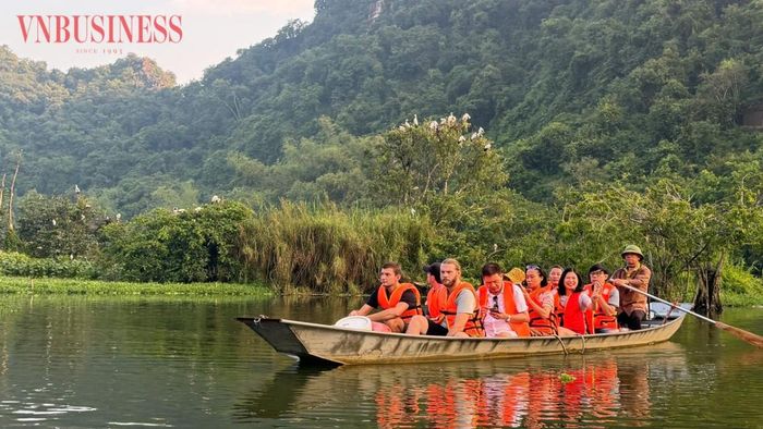Du khách tham quan đảo chim, Khu du lịch sinh thái Thung Nham ở Ninh Bình.