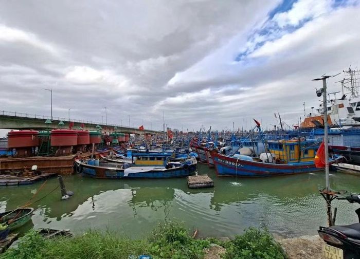 Cảng cá Thọ Quang vừa là đầu mối giao thương thủy sản, vừa giữ vai trò quan trọng trong neo đậu, tránh trú bão.
