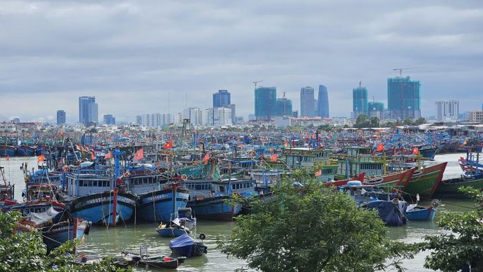 Khu vực Âu thuyền Thọ Quang là nơi tàu cá neo đậu, tránh trú bão, góp phần bảo đảm an toàn cho ngư dân.